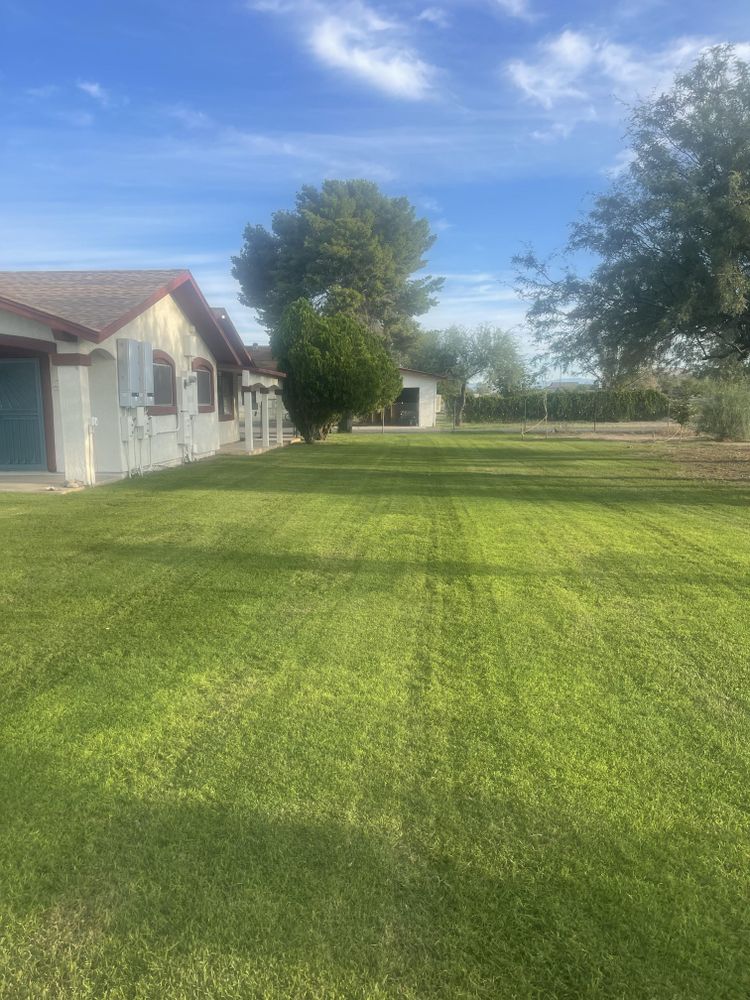 Commercial Lawn Maintenance for American Dream Landscape Company in Surprise, AZ