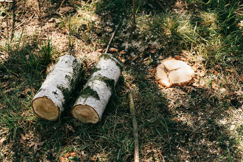 Our Tree Land Clearing service efficiently removes trees and debris, preparing your property for development or landscaping. Our professional land clearing service ensures a clean, safe environment tailored to your home’s needs. for Maverick's Land Services  in Elwood, IN