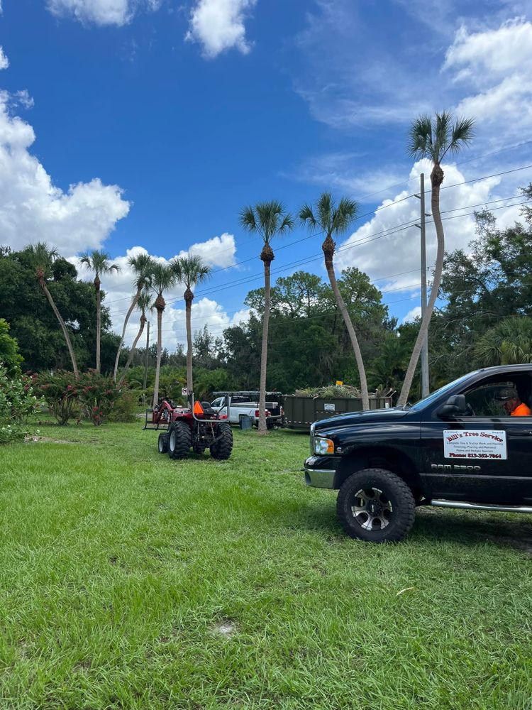 Tree Removal for Bills Tree Service in Valrico, FL