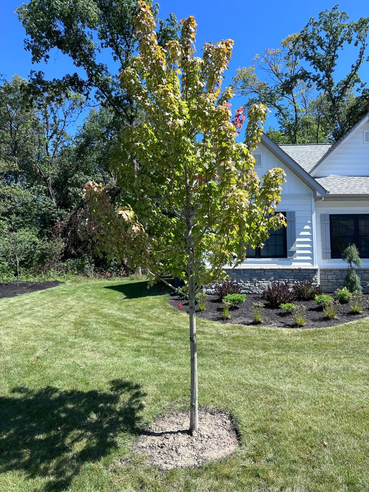 All Photos for Torres Lawn & Landscaping in Valparaiso, IN