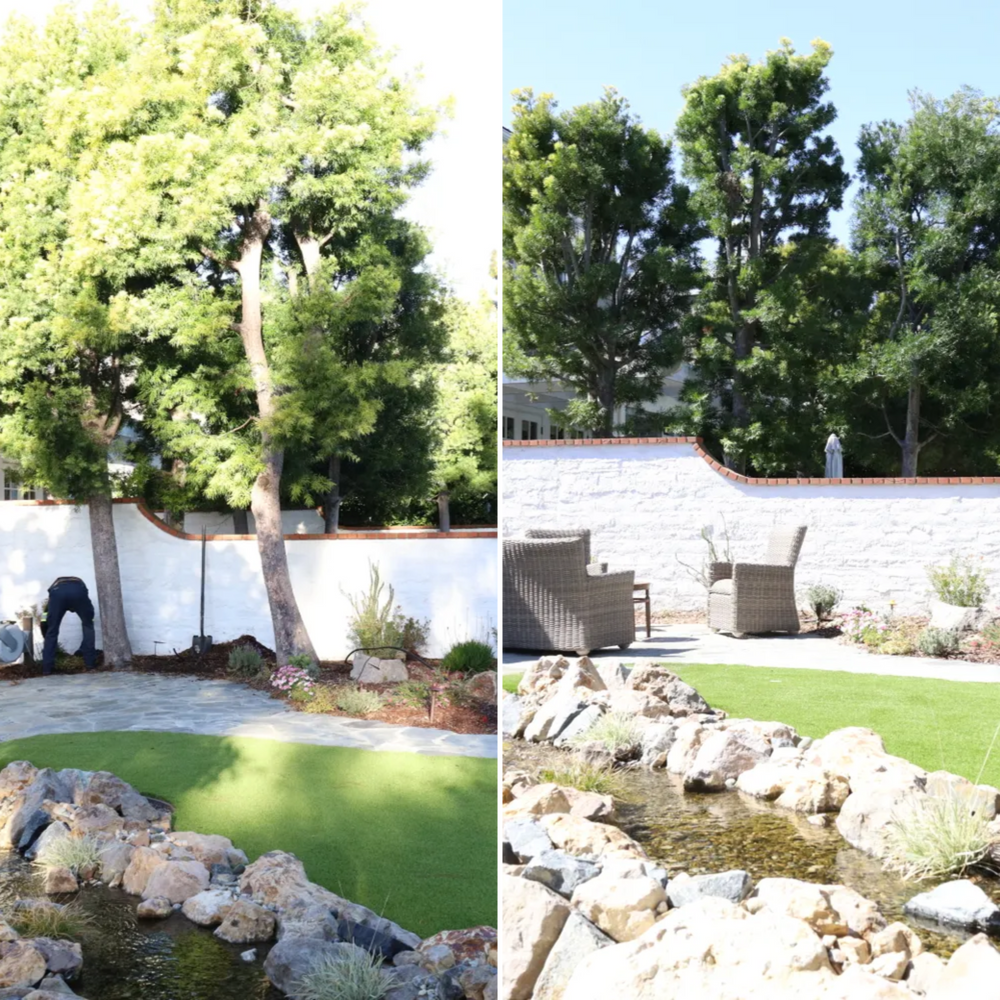 Tree Removal & Stump Grinding for ARKADIA in Orange County, CA