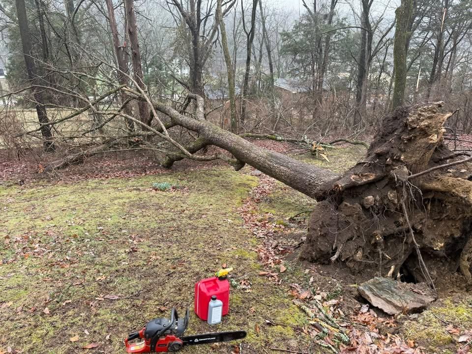 All Photos for Foxlan Landscapes in Fairview, TN