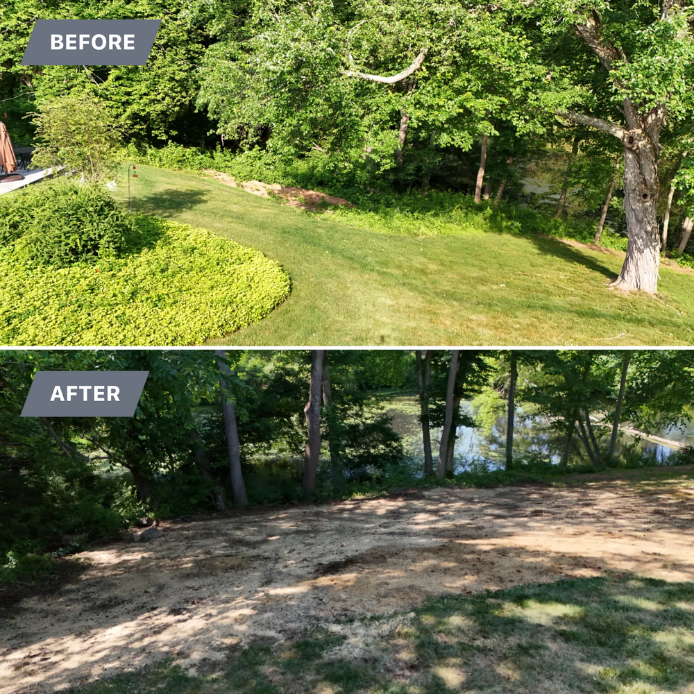 Landscape & Bed Design for Ace Landscaping in Trumbull, CT