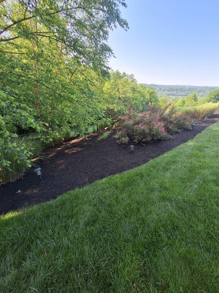 All Photos for Cincinnati’s Finest Landscape Services LLC in Cincinnati, OH
