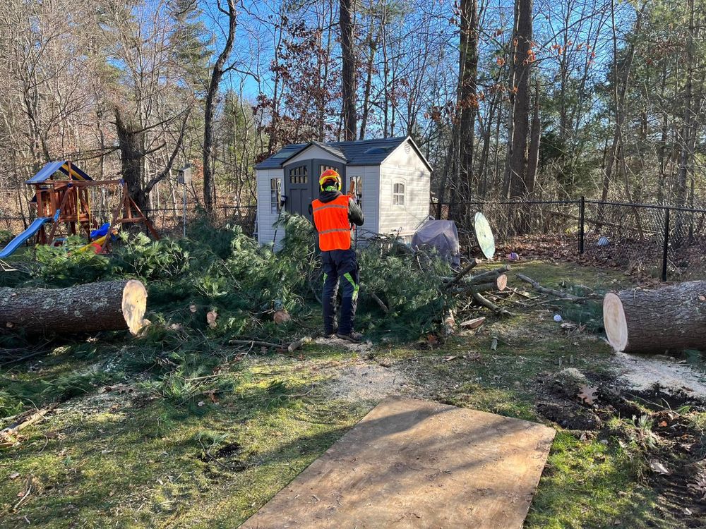 All Photos for Redemption Tree & Landscape LLC  in Oakham, MA