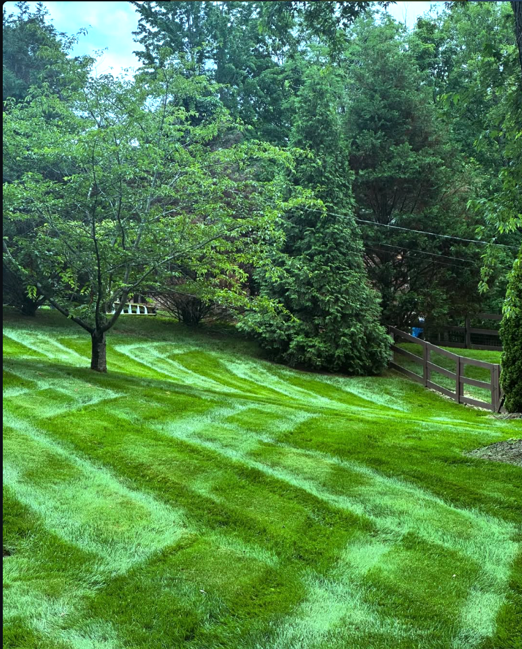 Lawn Care for DH Lawn Care in Nashville, TN