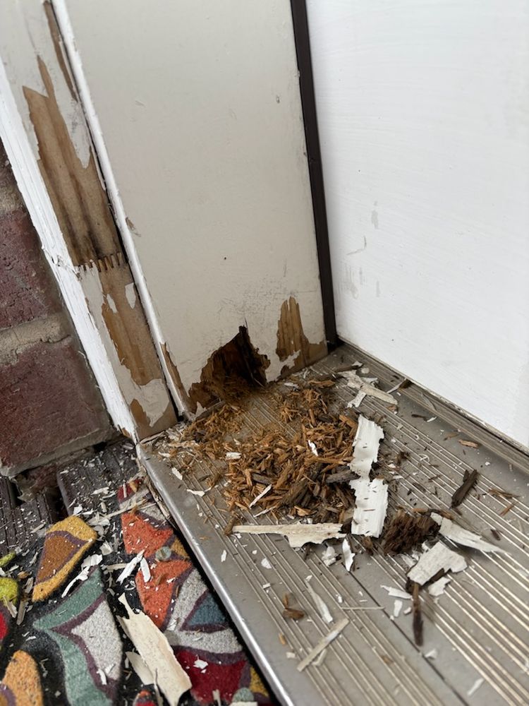 All Photos for Daniel Paints & Builds in Sandy, UT