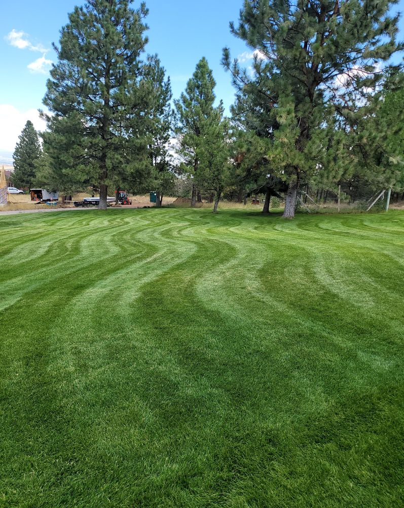 Landscaping for Yeti Snow and Lawn Services in Helena, Montana