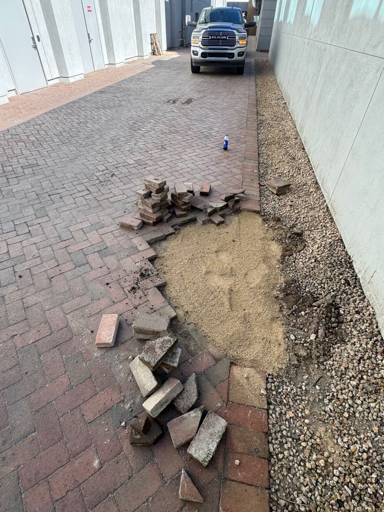 All Photos for Grand Canyon State Landscape Inc. in Surprise, AZ