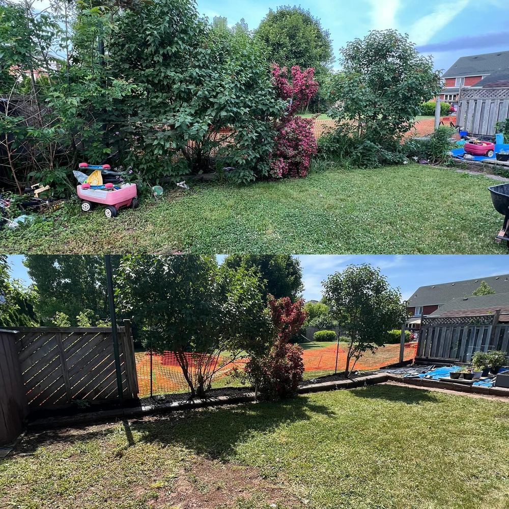 Landscaping  for CMN Exterior Maintenance in Hamilton, ON