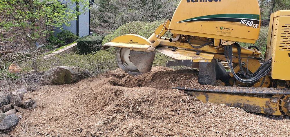Stump Grinding & Removal for F & F Tree Service in Beavercreek, OH