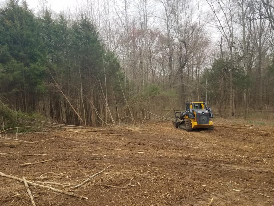 Tree Removal for CCS Forestry Mulching in Woodleaf, NC