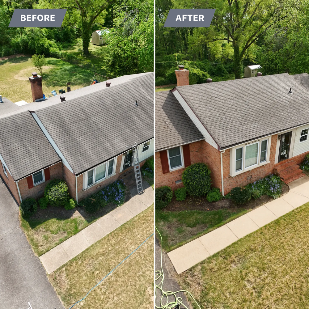 All Photos for LeafTide Solutions in Richmond, VA