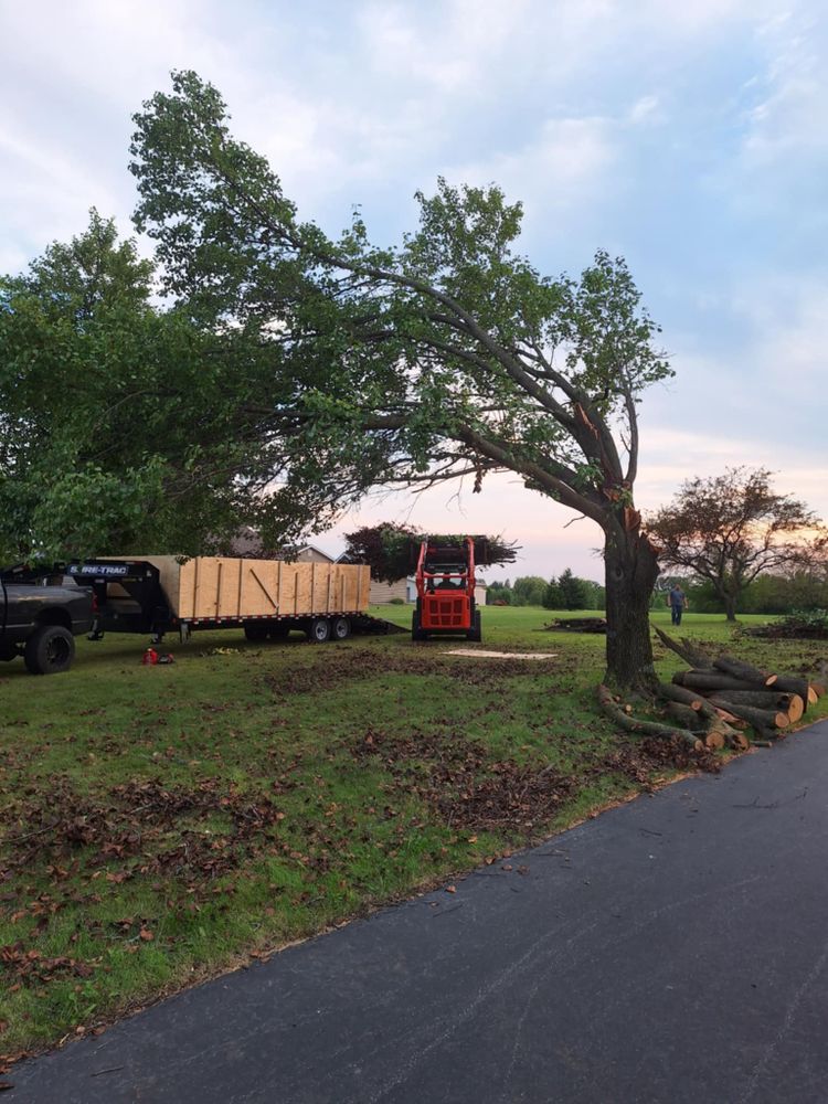 Emergency Storm Work for Highborn Tree Service in Wheatfield, IN