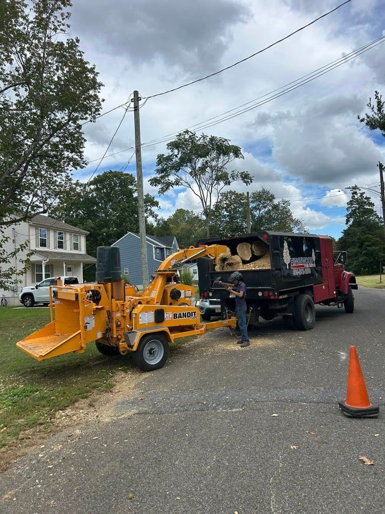 Other Services for Hingewood Tree Service in Salem, NJ