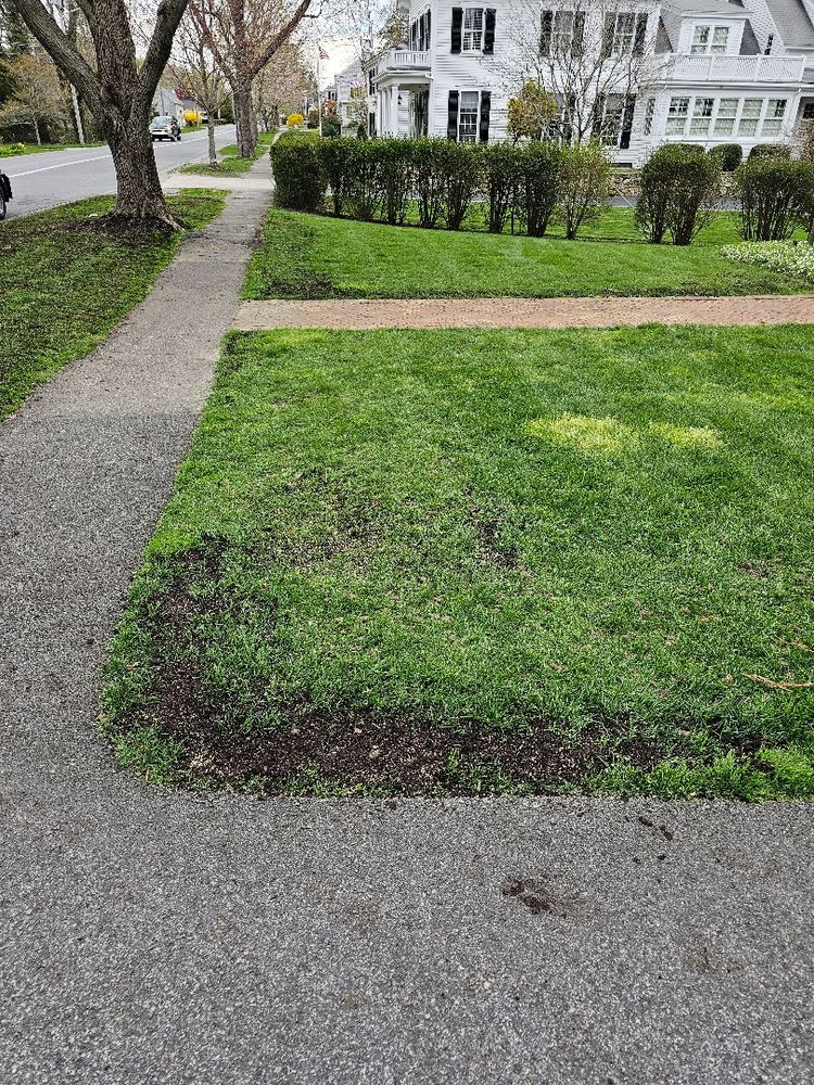 All Photos for Pungitore Landscapes, Irrigation & Fertilizer in Hingham, MA