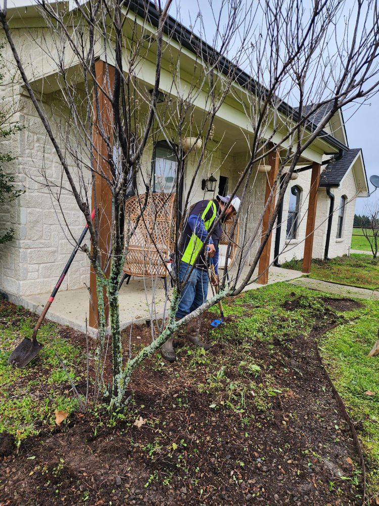 All Photos for Ornelas Lawn Service in Lone Oak, Texas