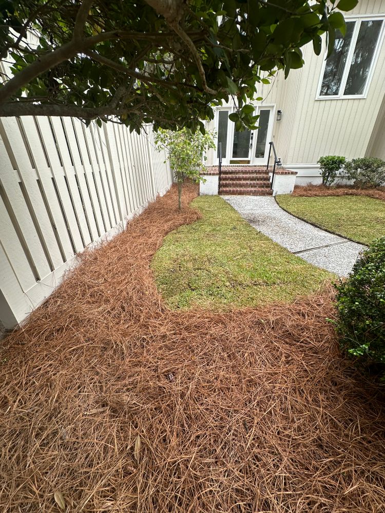 Pine Straw  for Coastalscapes Landscaping & Turf Management  in Savannah, GA