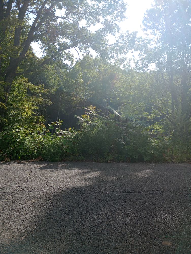 All Photos for Cody's Excavation and Septic in Plainville, CT