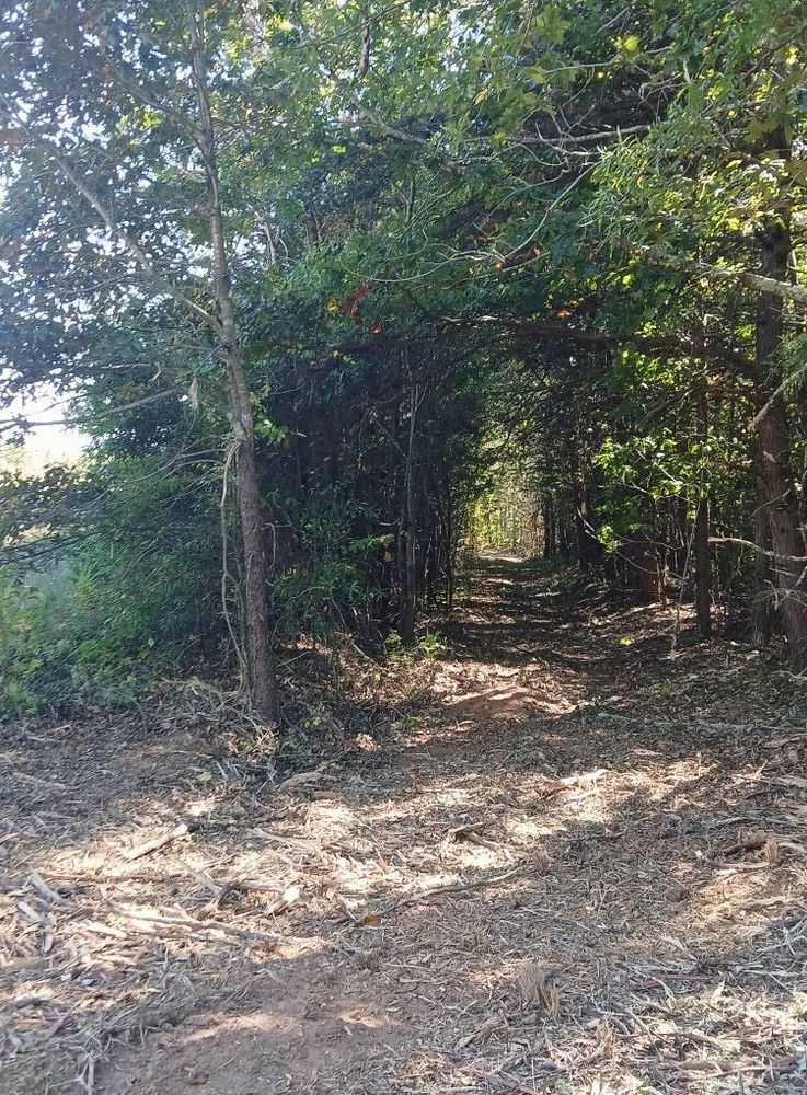 All Photos for Whiskey Ridge Mulching & Land Services in South Boston, VA