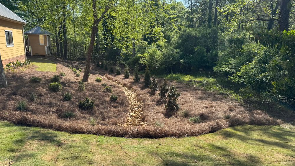 All Photos for Capital GREEN in Atlanta, GA
