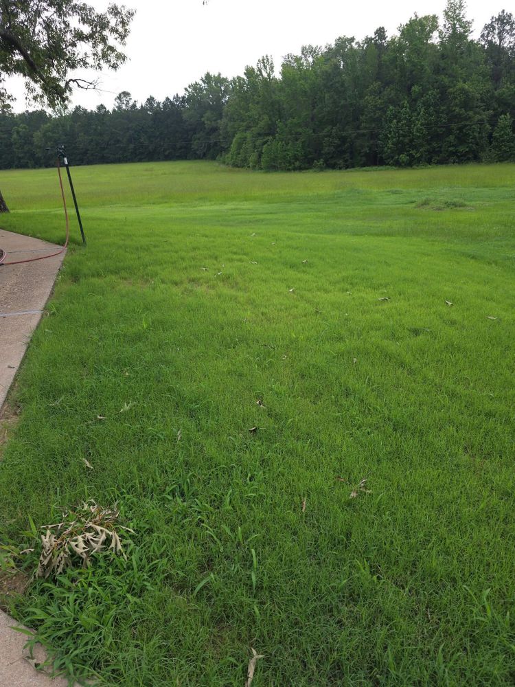 Hydroseeding for Deeply Rooted Lawns – Hydroseeding & Sod Installation Services in Winder, GA