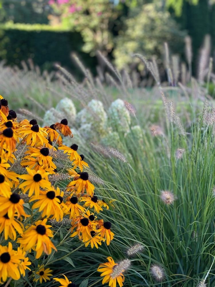 All Photos for Courtney Lewis Landscape Design in Portland, OR