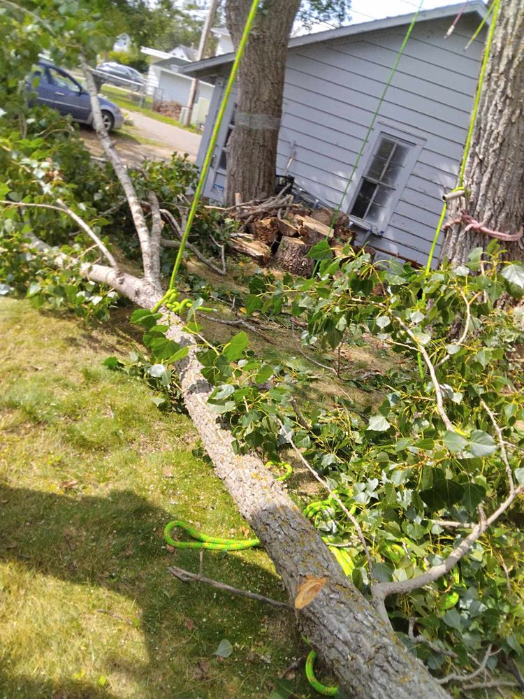 All Photos for Dan's tree service in Bemidji, MN