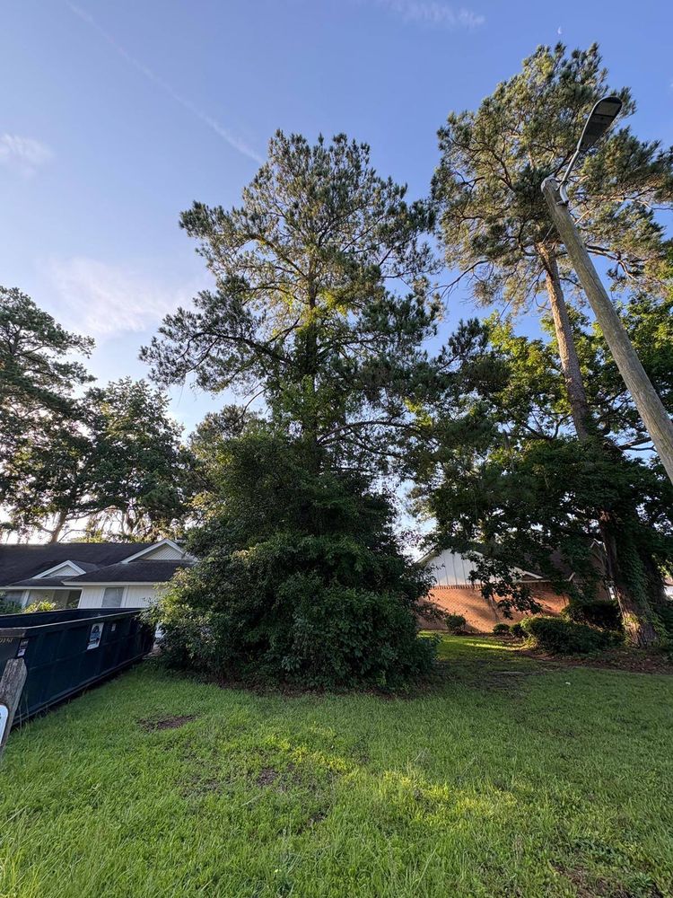 All Photos for Ayla Tree Service in Guyton, GA