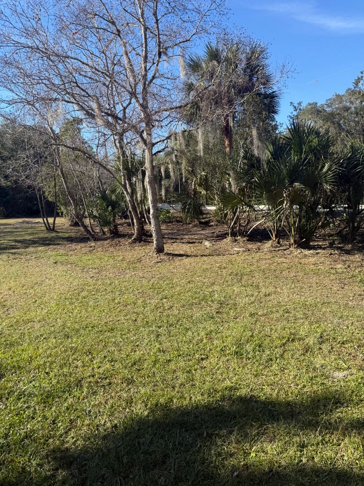 All Photos for Amerigrown Tree And Lawn in Apopka, FL