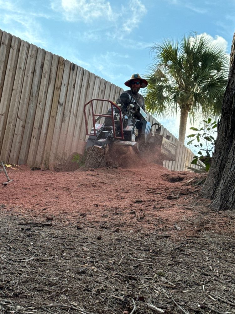 Our stump removal service efficiently removes unsightly stumps from your property, enhancing the appearance of your landscape and preventing potential hazards. Trust us to complete the job quickly and effectively. for Lemon Bay Tree Service  in Englewood, FL