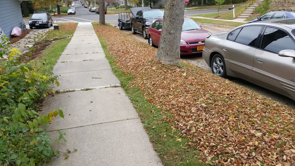 All Photos for TCB Lawn Care & Snow Removal in Sun Prairie, WI