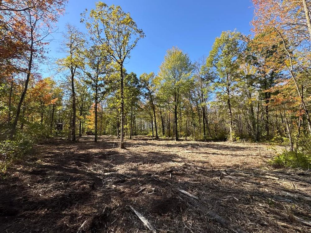 Our Forestry Mulching service offers efficient land clearing by transforming unwanted vegetation into natural mulch, enhancing soil health and landscape aesthetics. Trust us for sustainable mulching needs. for Premier Services in New London, MN