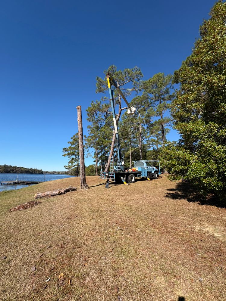 All Photos for T N L - Tree and Land Service in Reynolds, GA