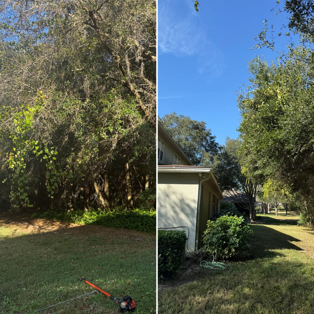 All Photos for Amerigrown Tree And Lawn in Apopka, FL