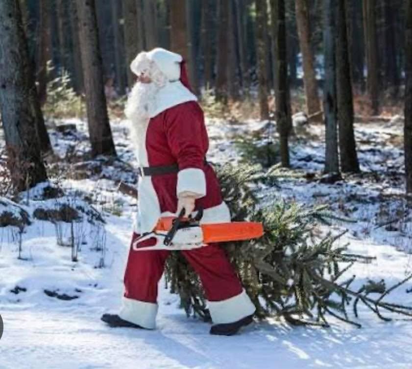 All Photos for McBee’s Tree Service in Sewanee, TN