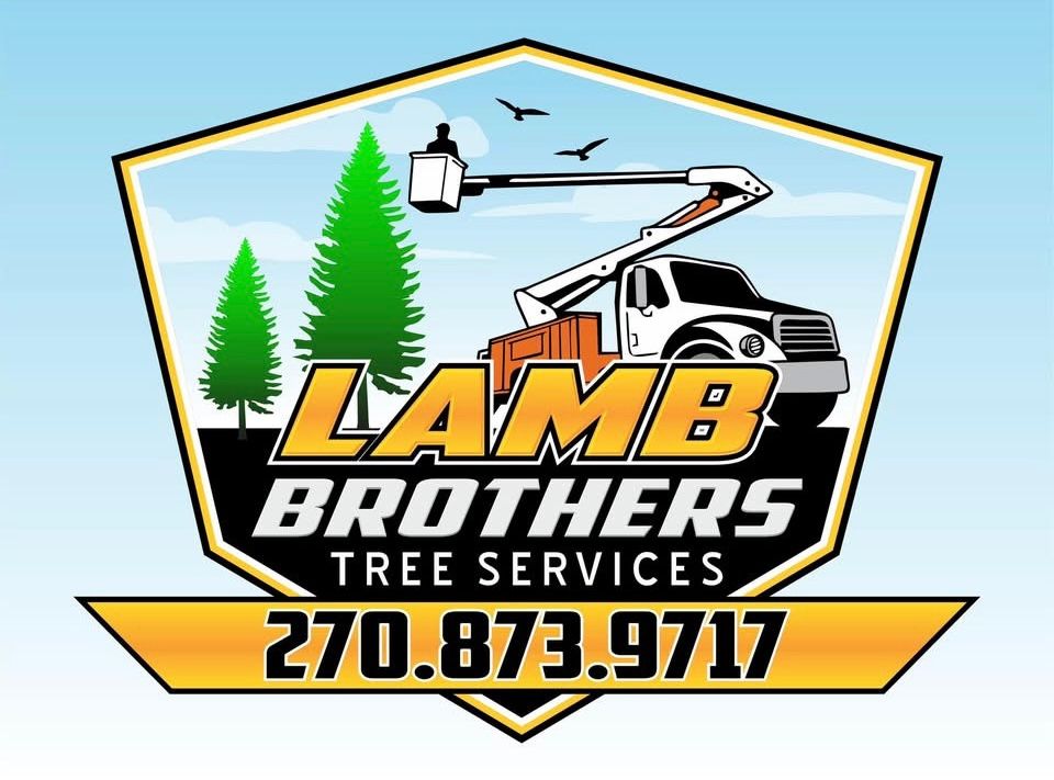 All Photos for Lamb Brothers Clearing in Murray, KY