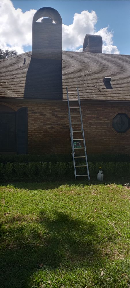 All Photos for Bradley Bradshaw Painting in Christmas, FL