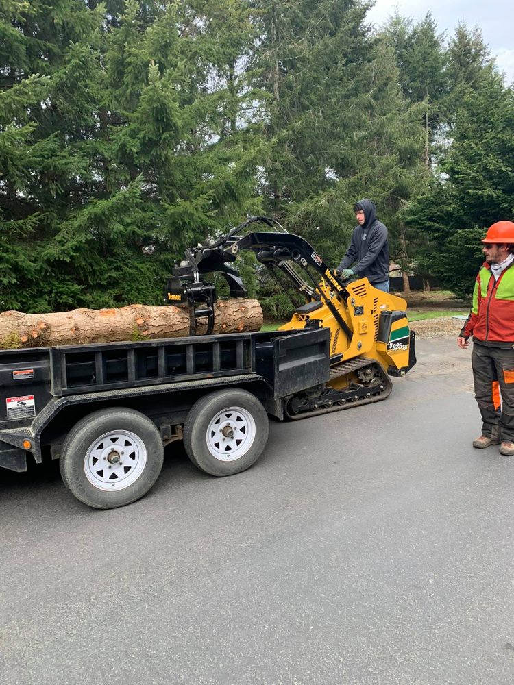 Wilderness Stump Grinding team in Orting, WA - people or person
