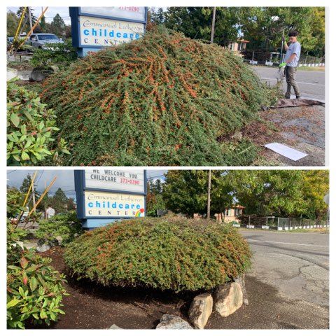 Landscaping for Hall of Fame Landscaping in Bremerton, WA