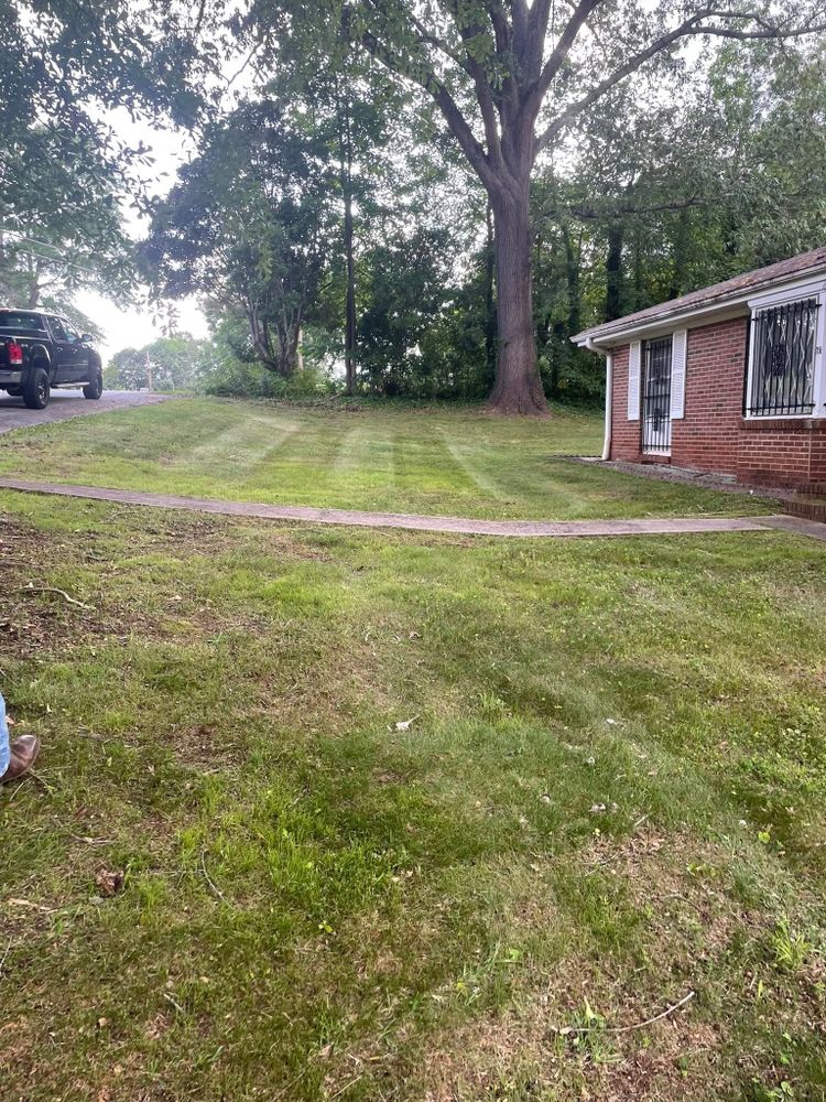 All Photos for Countryside lawn pros in Upstate, SC