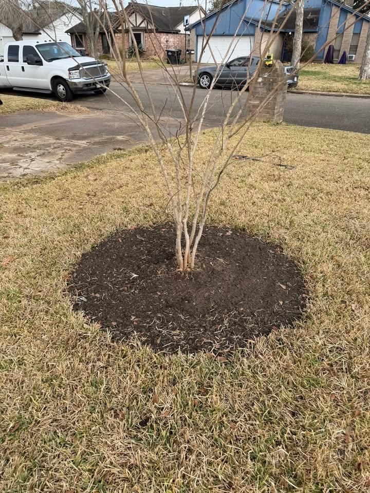 All Photos for Texas Curb N Borders in Houston, TX