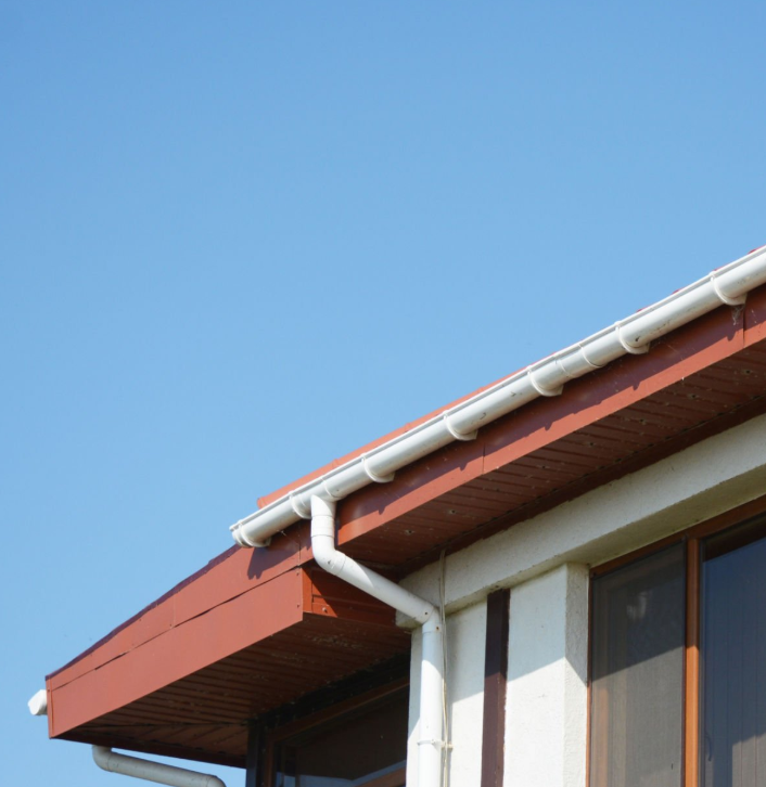 Our Gutter Cleaning service ensures your gutters are free of debris, preventing water damage and maintaining the integrity of your home's foundation, while enhancing overall landscape health and beauty. for C + C Landscaping in Chesterfield, VA