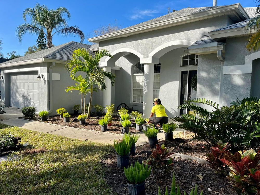 Landscape Design and Installation for Verimay's Garden and Landscaping in Hillsborough County, FL