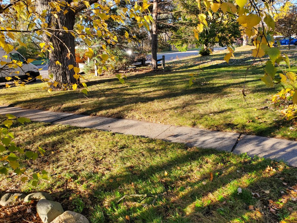 Fall clean up  for K & I Lawn Care Service  in Eden Prarie, MN