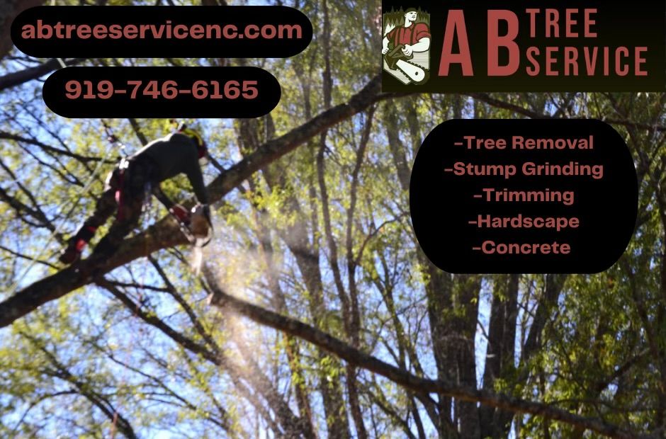 All Photos for AB Tree Service in Raleigh, NC