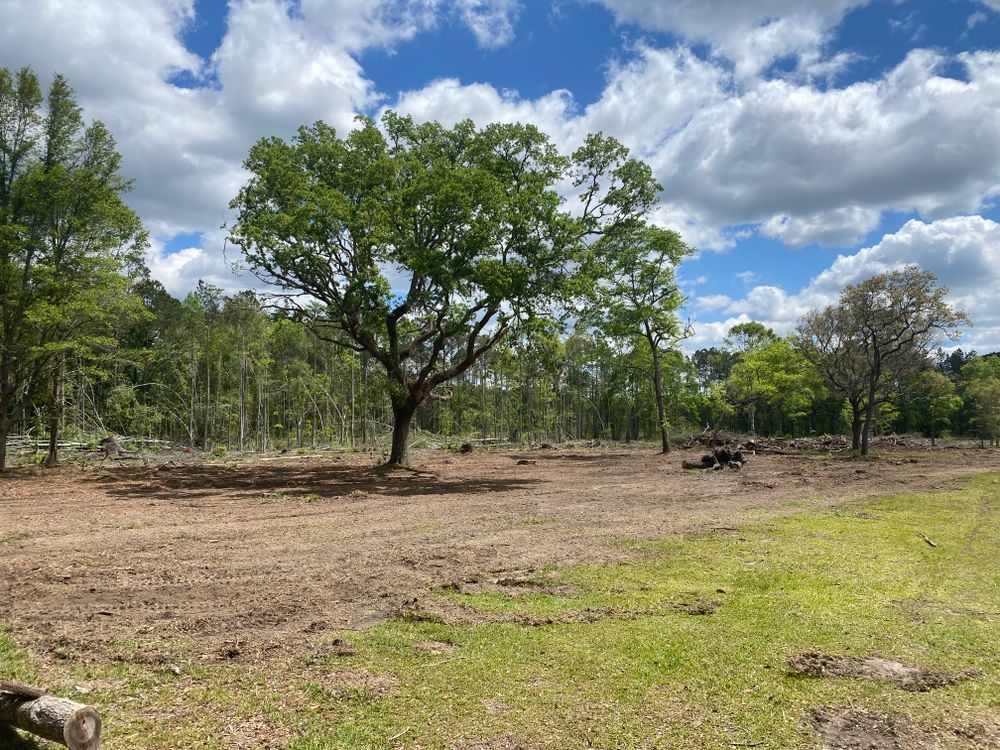 All Photos for T&S Land Management Services in Effingham County, GA
