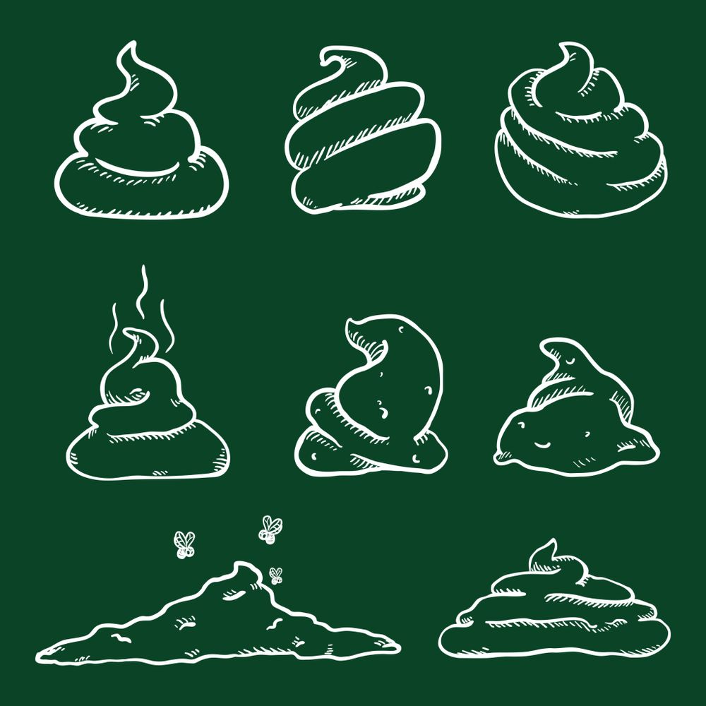 All Photos for River City Scoopers in Midlothian, VA