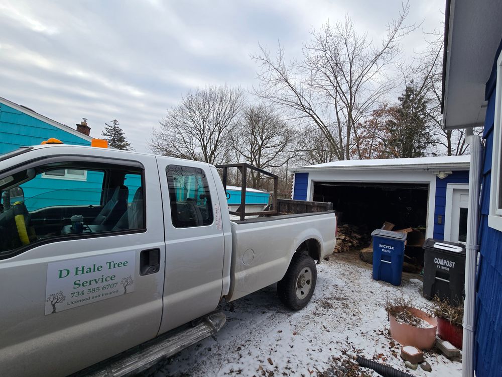 All Photos for D Hale Tree Service in Ann Arbor, MI