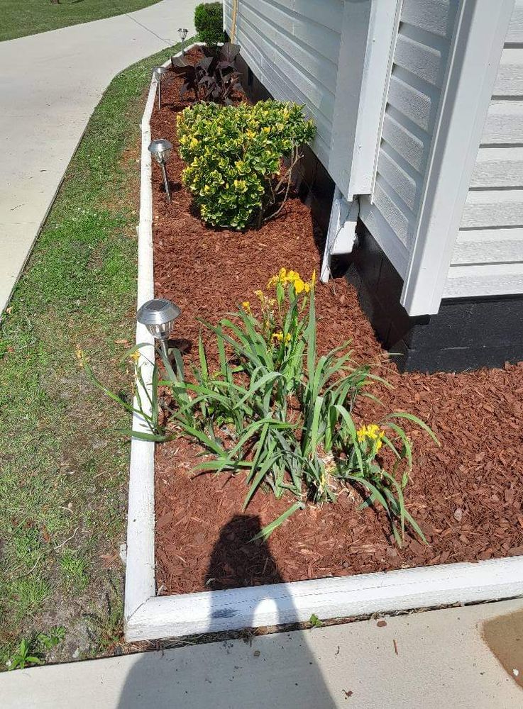 Landscaping for Handy Al's Landscaping LLC in Greenville, NC